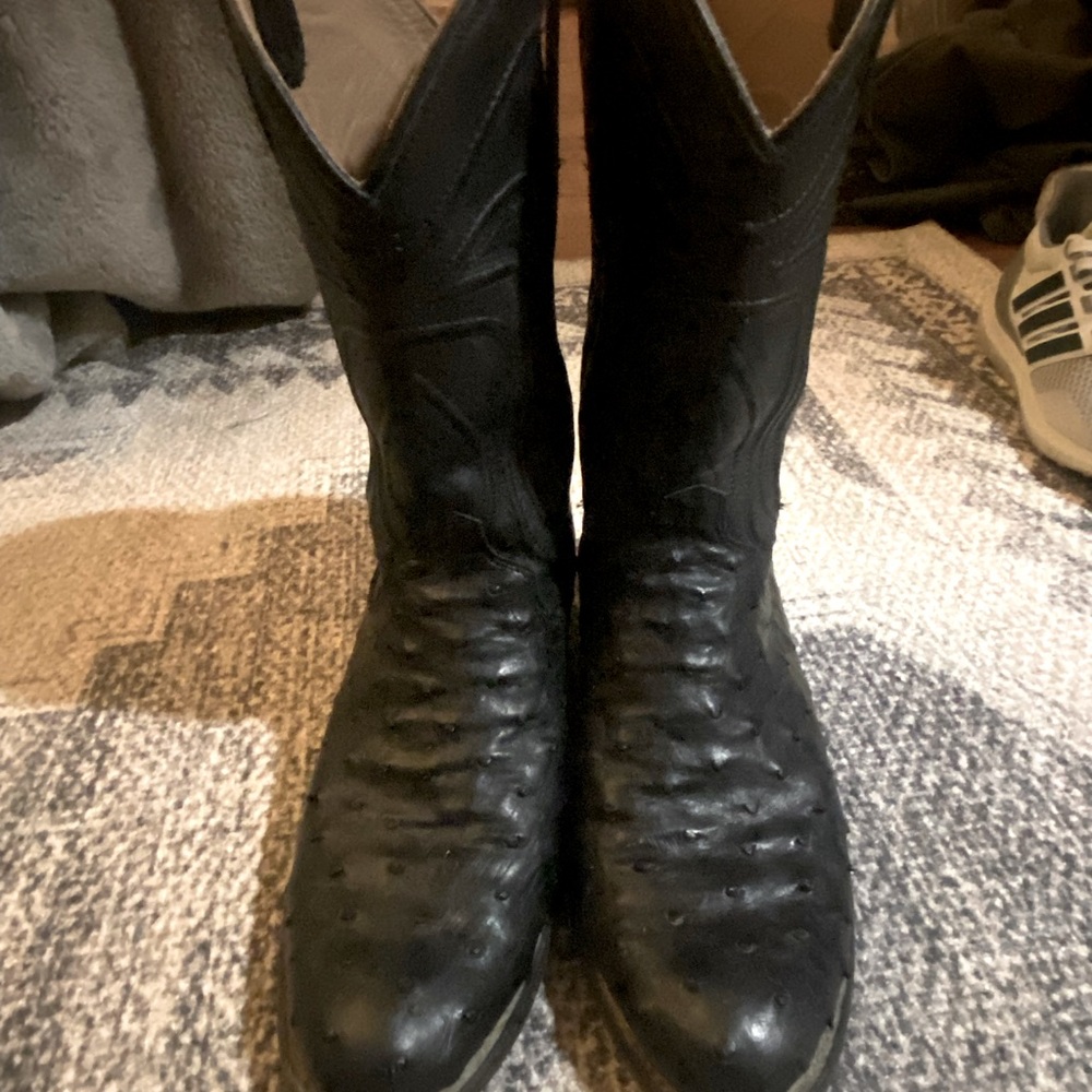 COPY - Full quill ostrich Tecovas